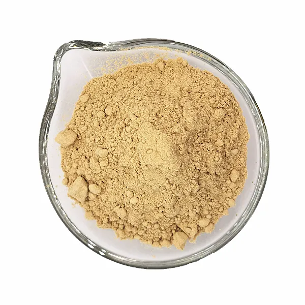 Factory Sale Dried Ginger Powder