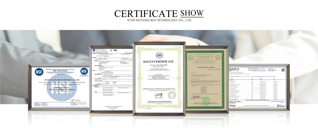 Factory Sale Dried Ginger Powder