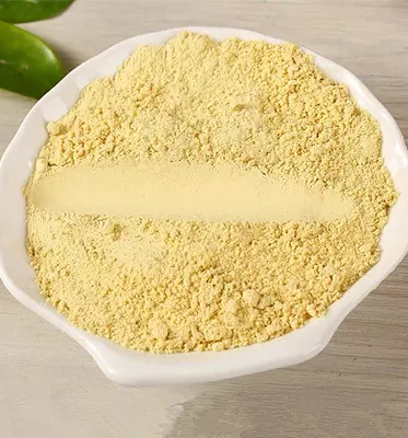 Factory Sale Dried Ginger Powder