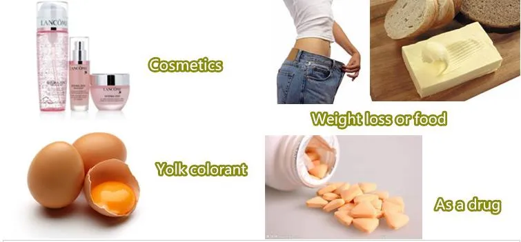 Factory Specializing in The Production of Wholesale Fucoxanthin 3351-86-8