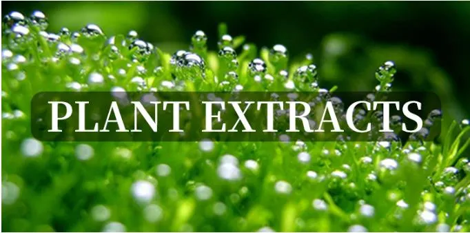 Factory Specializing in The Production of Wholesale Fucoxanthin 3351-86-8