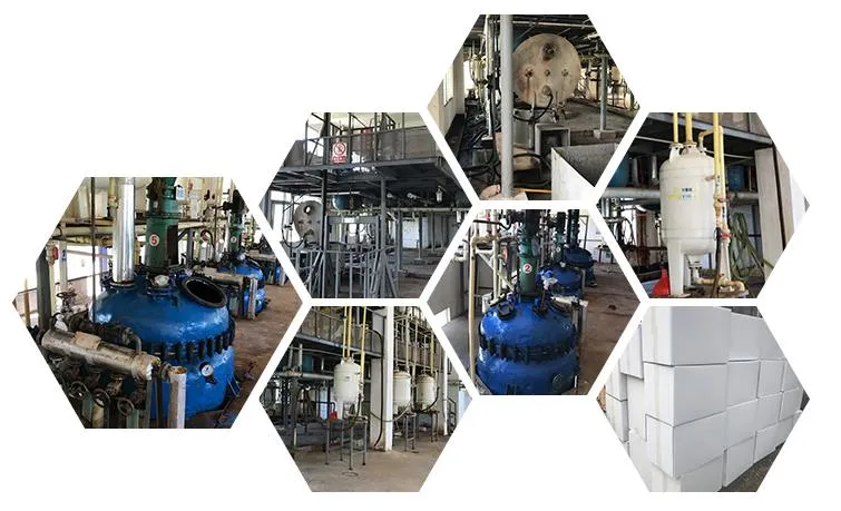 Factory Specializing in The Production of Wholesale Fucoxanthin 3351-86-8