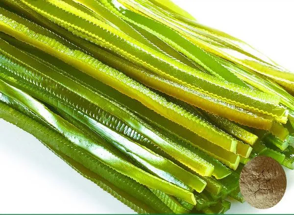 Factory Specializing in The Production of Wholesale Fucoxanthin 3351-86-8