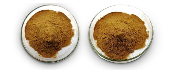 Factory Specializing in The Production of Wholesale Fucoxanthin 3351-86-8