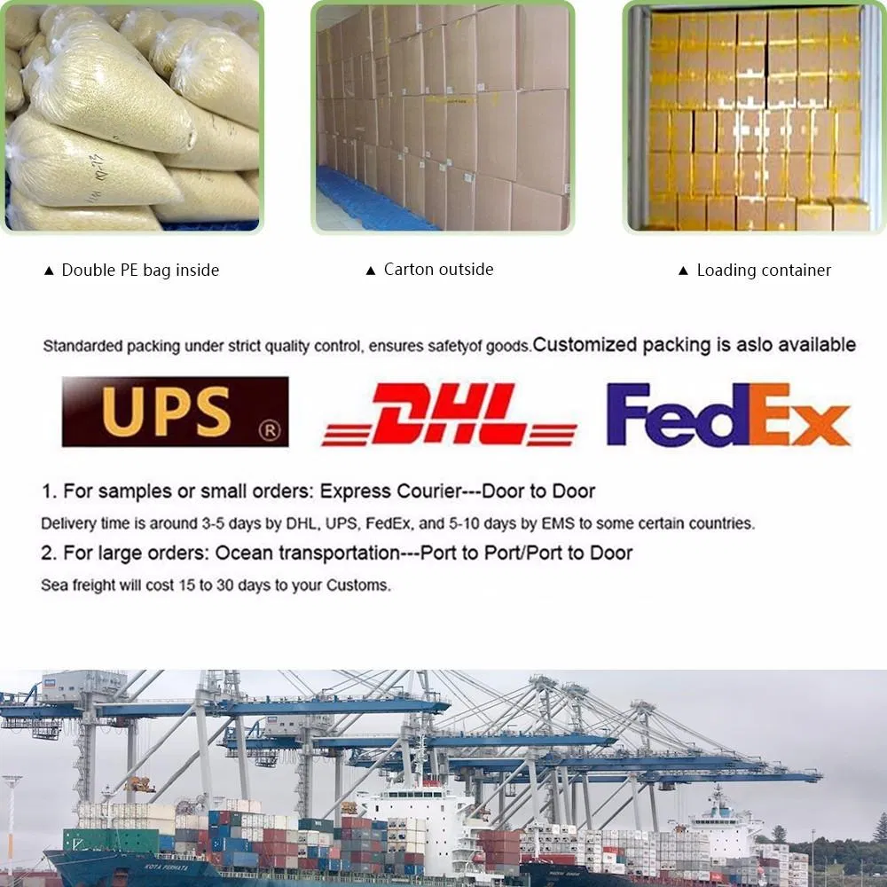 Factory Supply Leek Slices with Good Quality (1-3 mm)