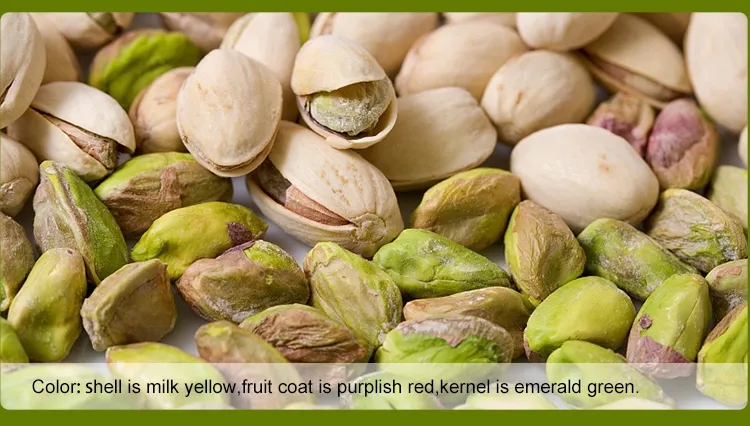 Factory Wholesale Bulk Non Bleached Salted and Roasted Pistachio Nuts