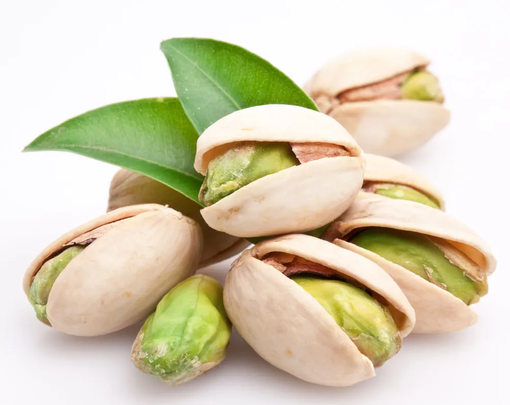 Factory Wholesale Bulk Non Bleached Salted and Roasted Pistachio Nuts