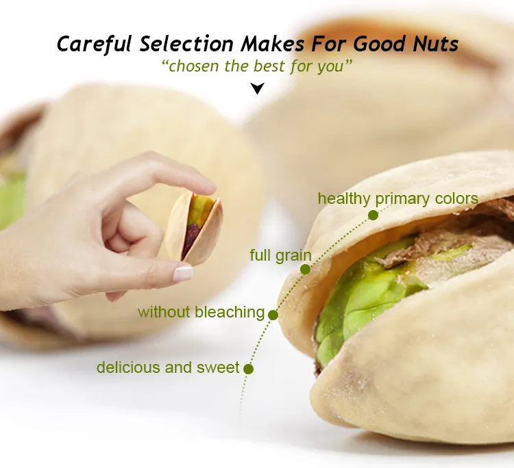 Factory Wholesale Bulk Non Bleached Salted and Roasted Pistachio Nuts