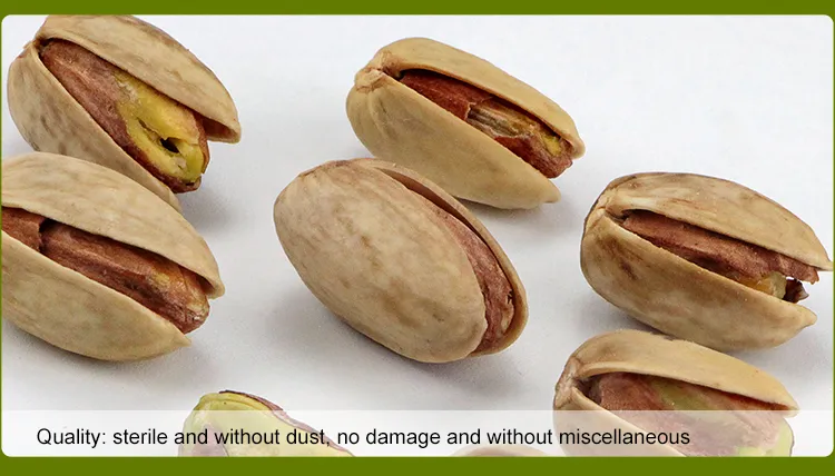 Factory Wholesale Bulk Non Bleached Salted and Roasted Pistachio Nuts