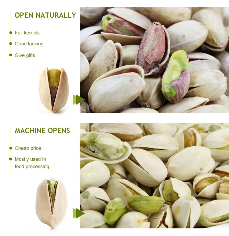 Factory Wholesale Bulk Non Bleached Salted and Roasted Pistachio Nuts