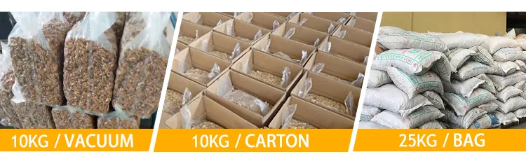 Factory Wholesale Bulk Non Bleached Salted and Roasted Pistachio Nuts