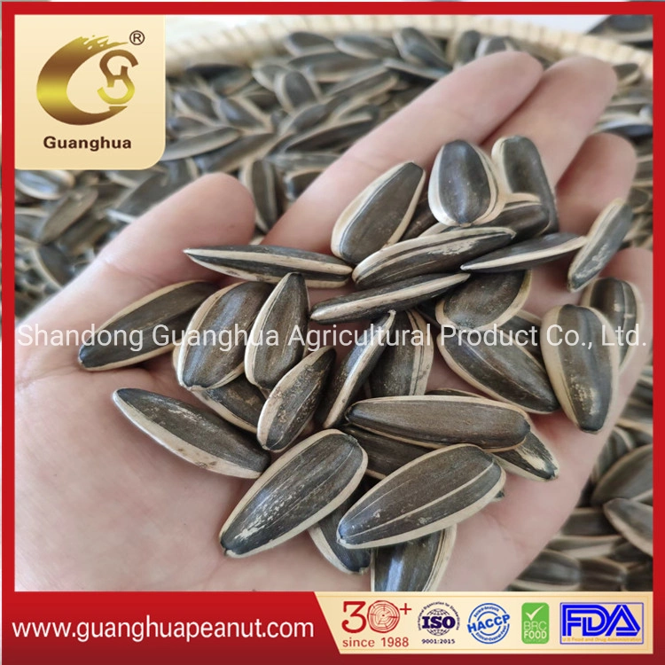 Factory Wholesale Sunflower Seed 361 New Crop with Best Quality