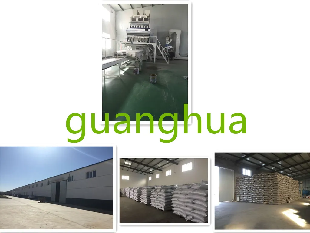 Factory Wholesale Sunflower Seed 361 New Crop with Best Quality