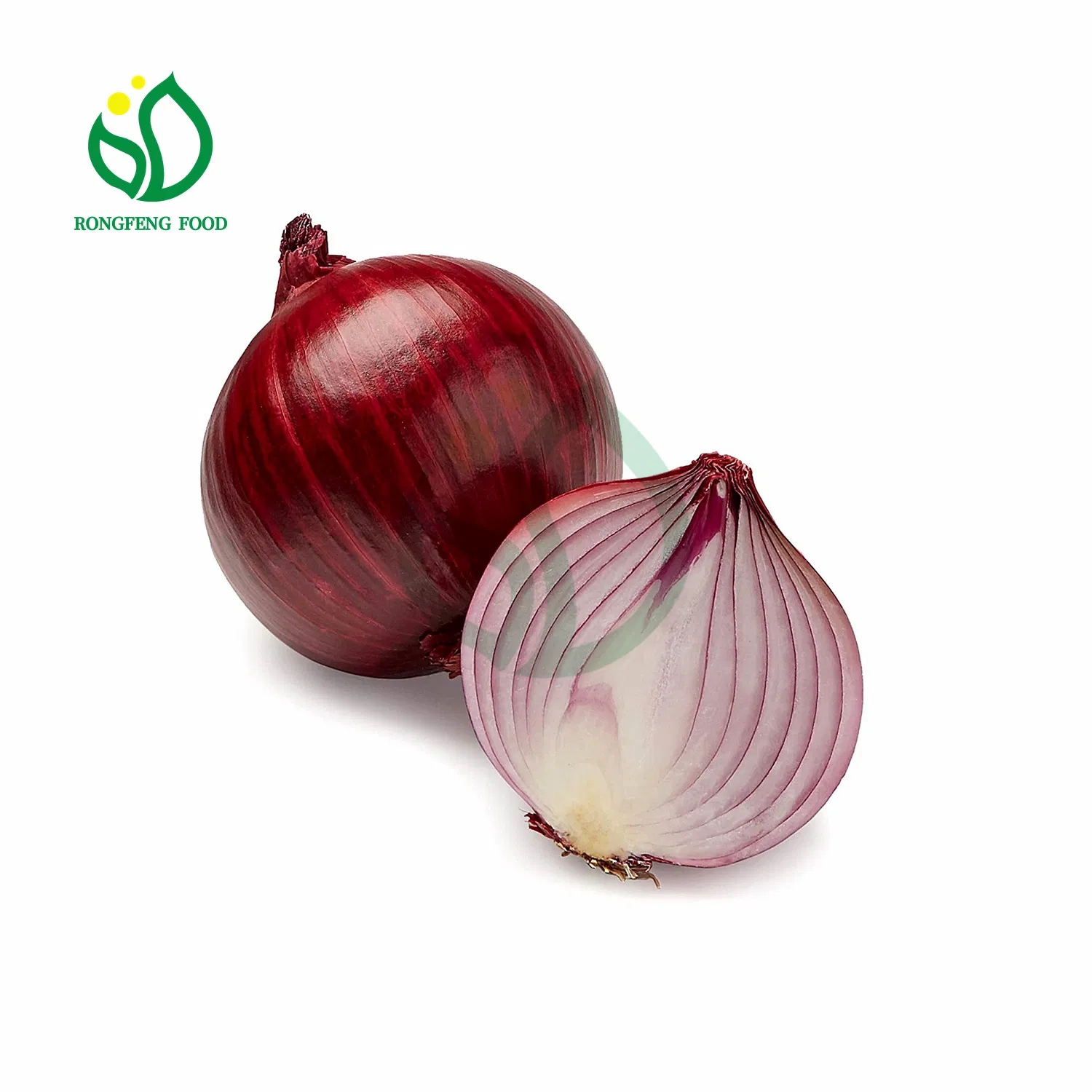 Fesh Onion Plump Big Round Onions From June to August