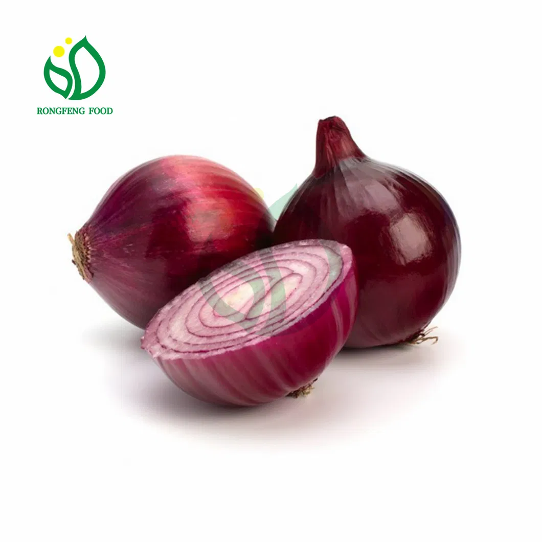Fesh Onion Plump Big Round Onions From June to August