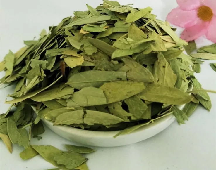 Folium Sennae Tea
