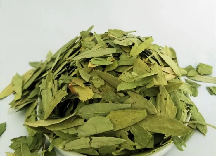 Folium Sennae Tea