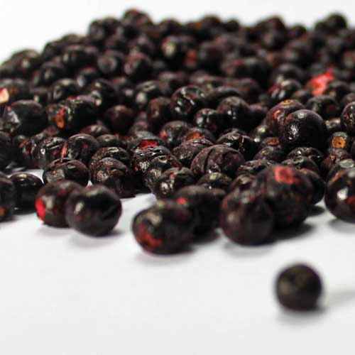 Freeze Dried Black Currant , Fd Black Currant Whole From China