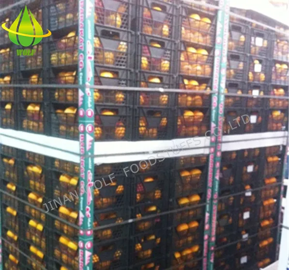 Fresh and Delicious 80p/88p/100p/113p Gannan Navel Orange