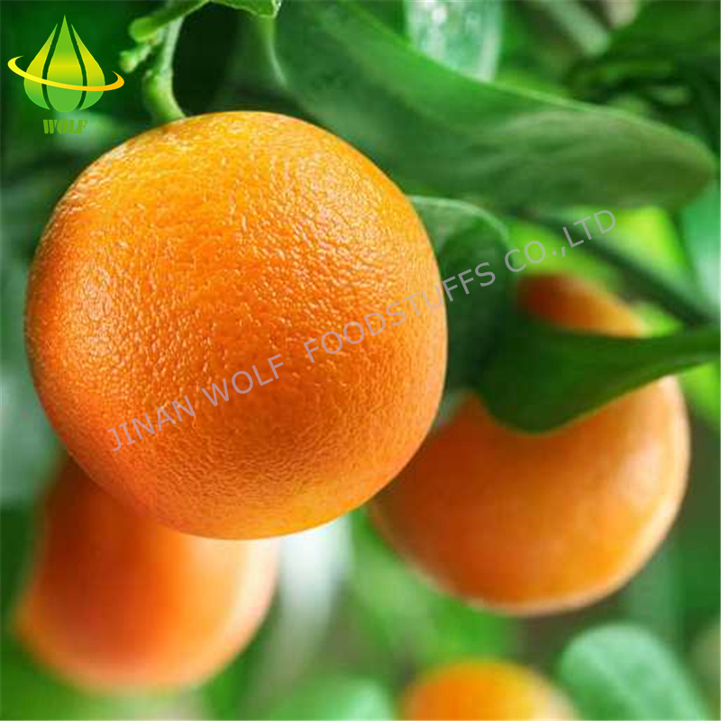 Fresh and Delicious 80p/ 88p /100p/113p Gannan Navel Orange