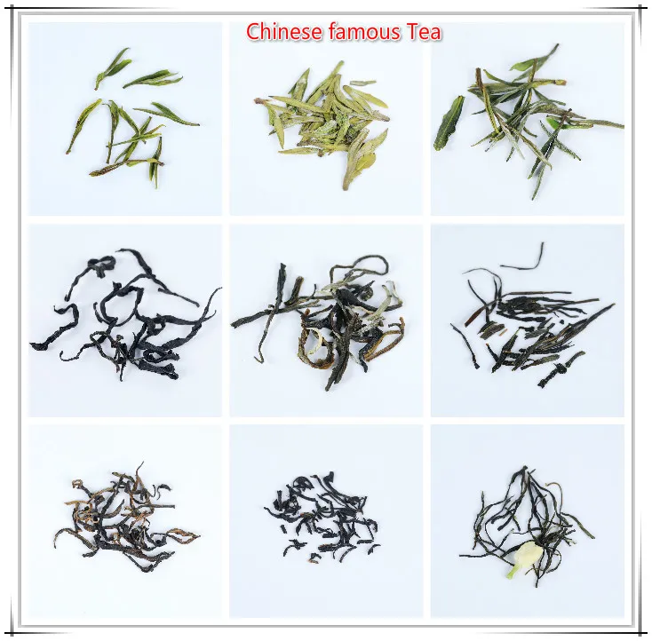 Fresh and Mellow Taste Chunmee Green Tea Different Grade
