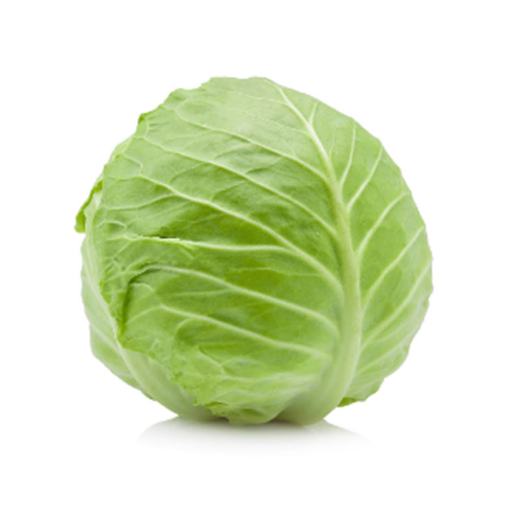 Fresh Cabbage Wholesale Price From China High Quality