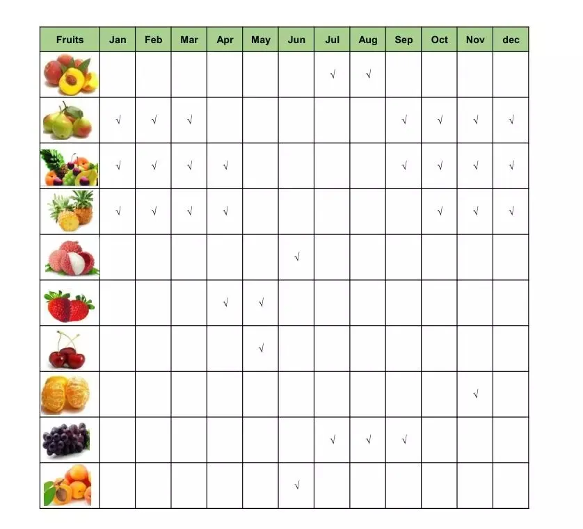 Fresh Canned Waxberry/Red Bayberry No Preservatives Added with Best Taste