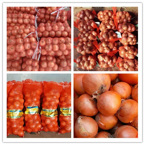 Fresh Chinese New Crop Yellow Onion for 5-7cm