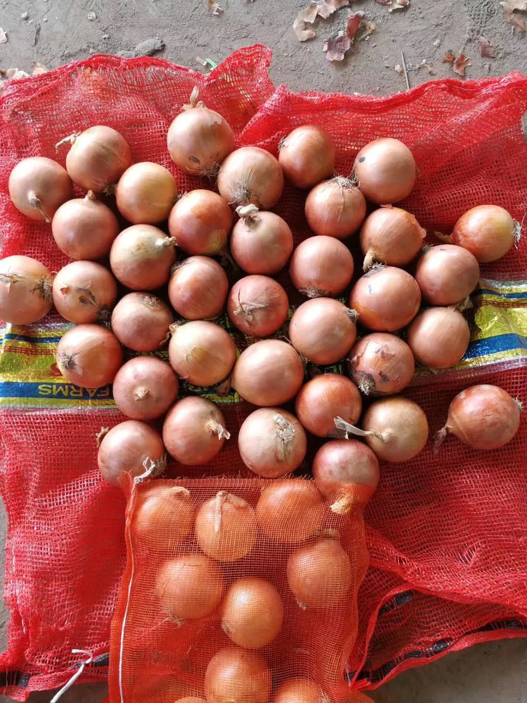 Fresh Chinese New Crop Yellow Onion for 5-7cm