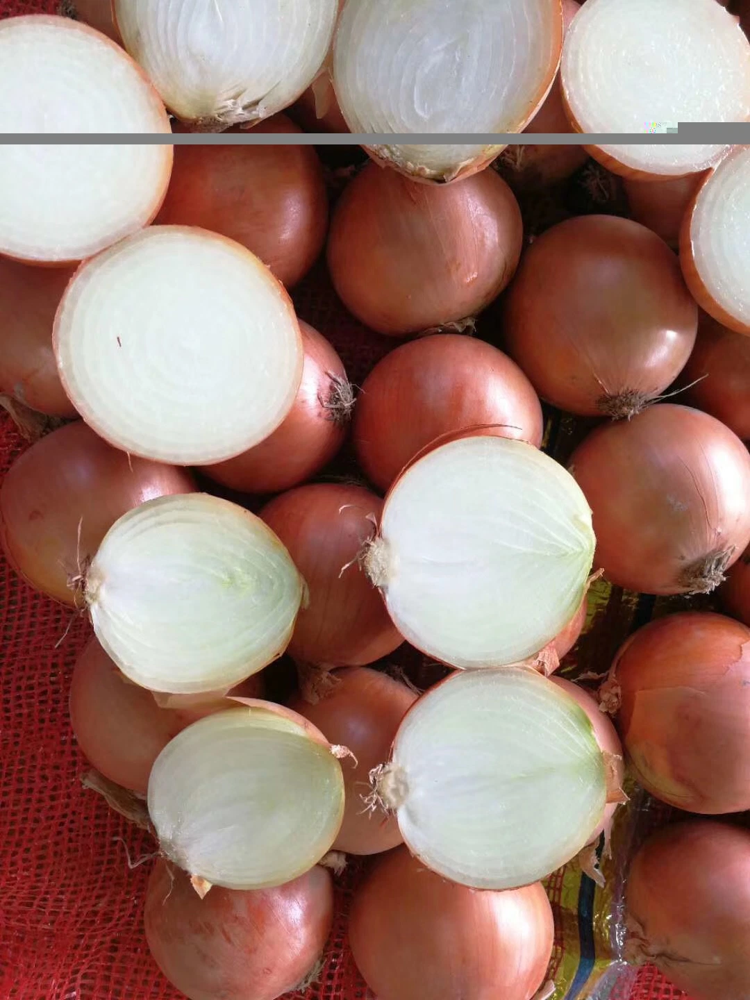 Fresh Chinese New Crop Yellow Onion for 5- 7cm