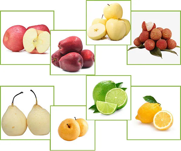 Fresh FUJI, Huaniu, Gala, Golden, Qinguan Apple