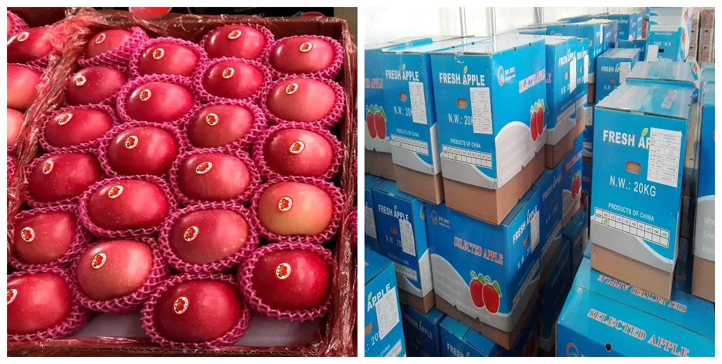 Fresh FUJI, Huaniu, Gala, Golden, Qinguan Apple