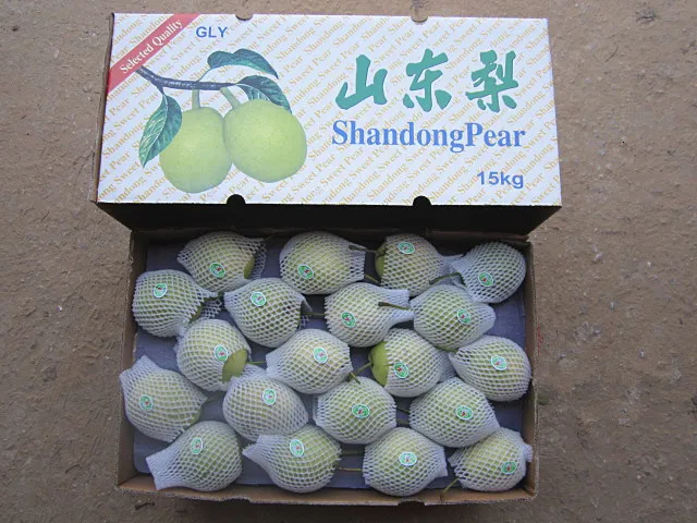 Fresh Green Shandong Pear for India