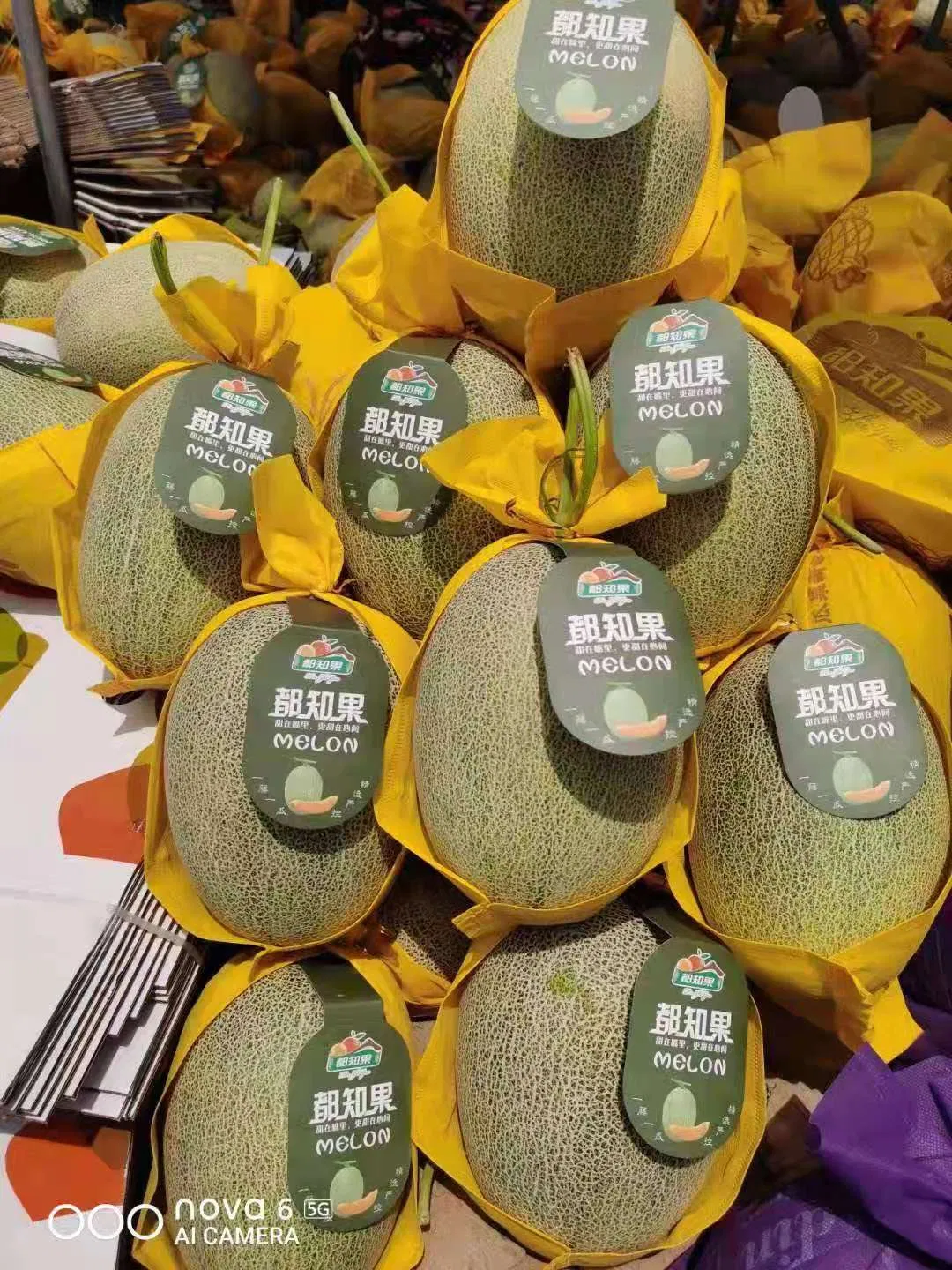 Fresh Ha Mi Melon Cantaloupe Quality