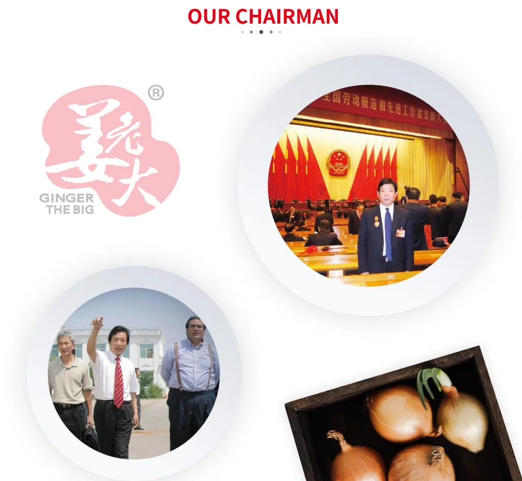 Fresh High Quality Seedless White Grape