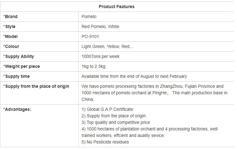 Fresh Red Pomelo Citrus Supplier From China High Quality