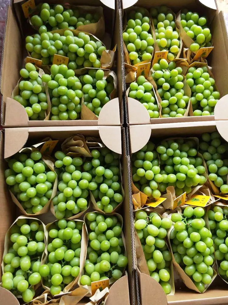 Fresh Sweet Green Global Grape