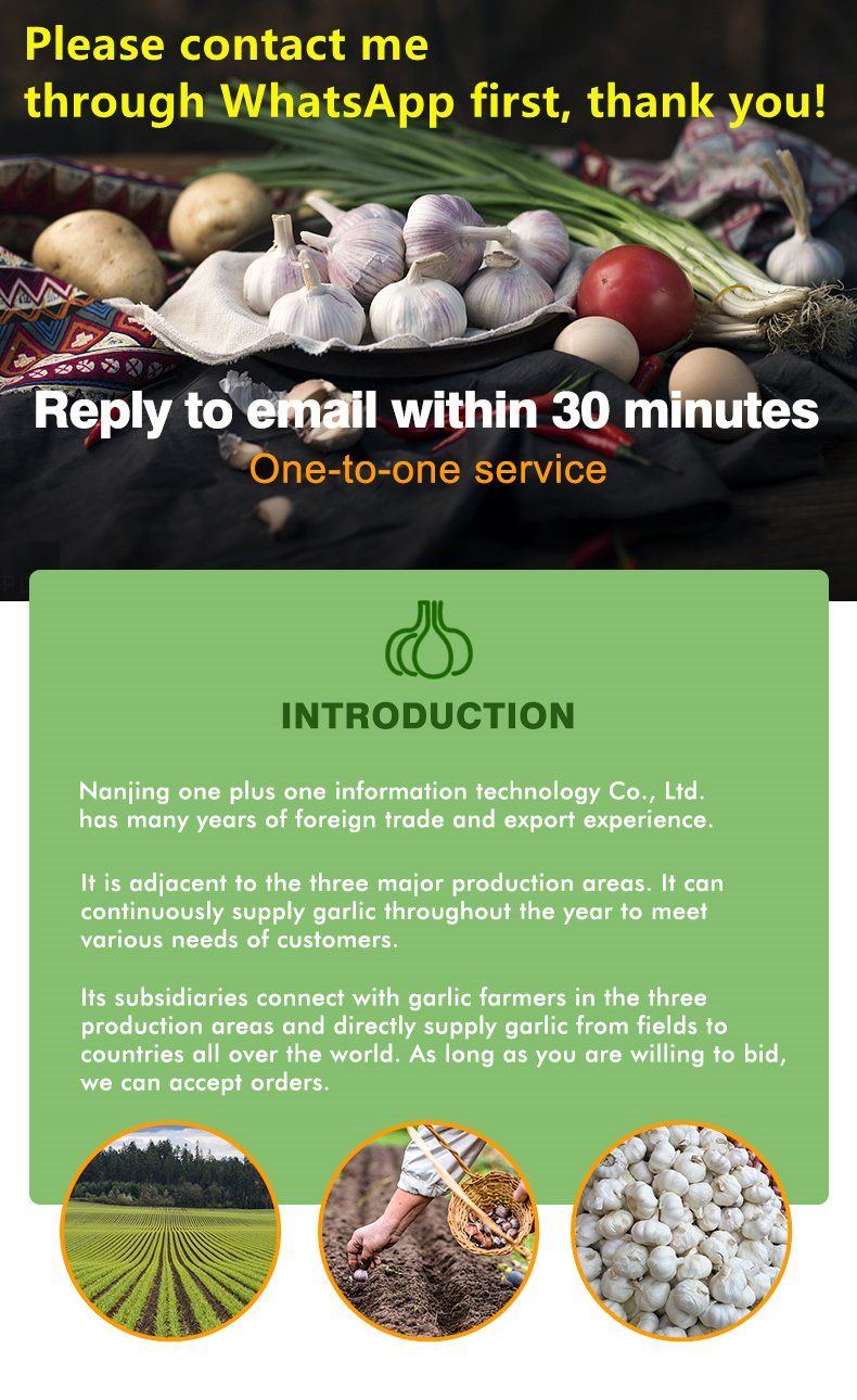 Fresh Vegetable Roasted Wasabi Flavour Coated Peanuts