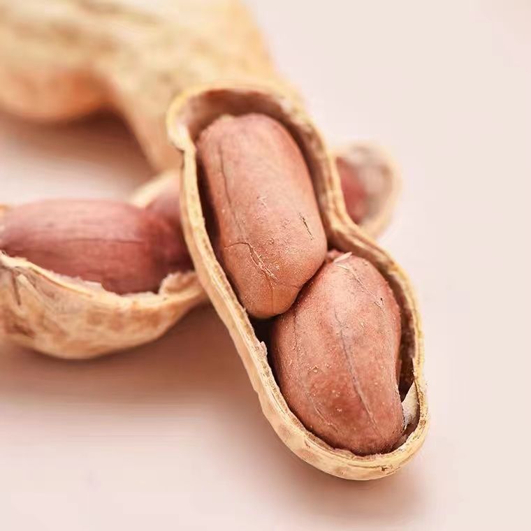 Fresh Vegetable Roasted Wasabi Flavour Coated Peanuts