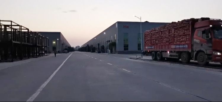 Fresh Vegetable Roasted Wasabi Flavour Coated Peanuts