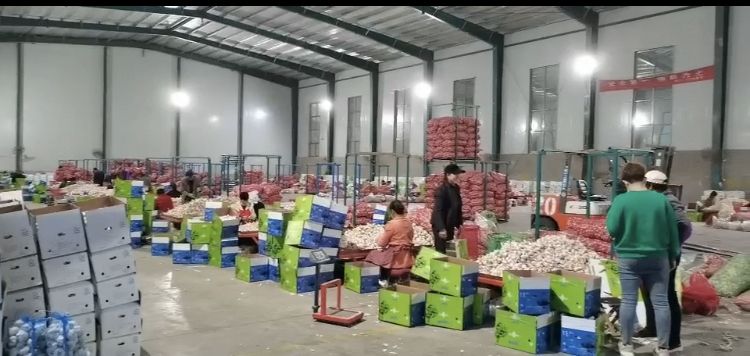 Fresh Vegetable Roasted Wasabi Flavour Coated Peanuts