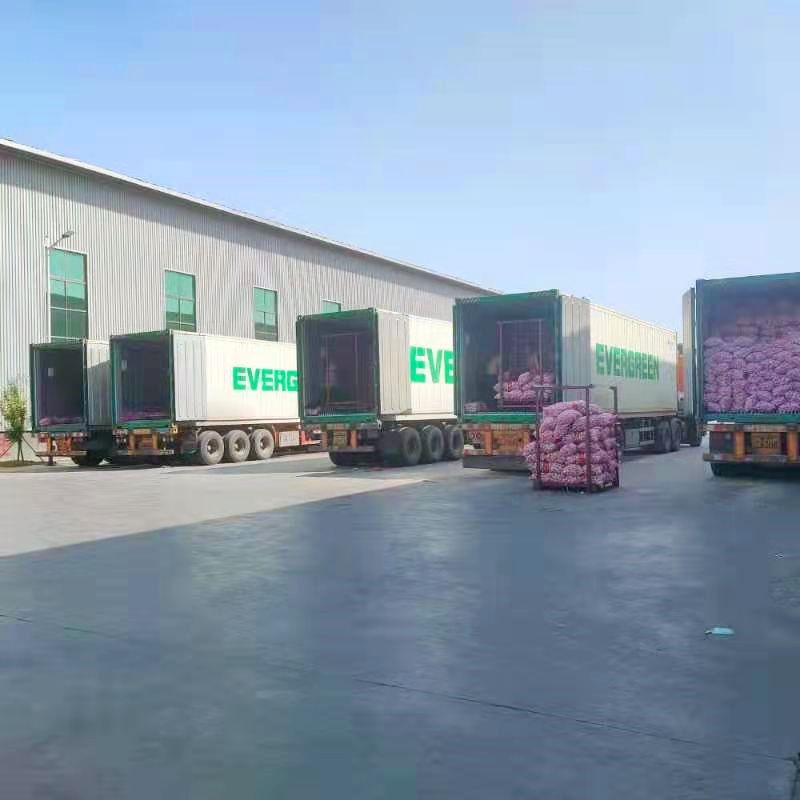 Fresh Vegetable Roasted Wasabi Flavour Coated Peanuts