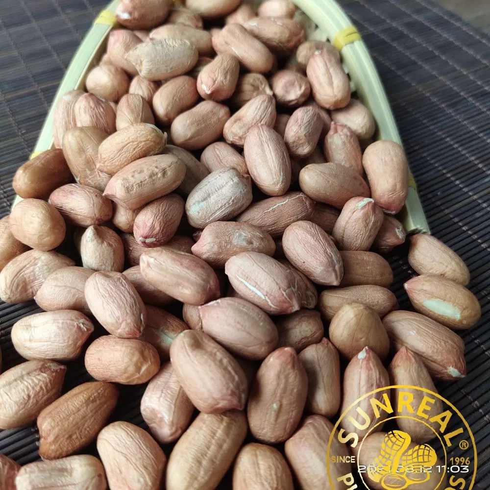 Frozen Cooked Peanut in Shell/ Red Skin/Salty/Fresh&Soft&Juicy&Palatable