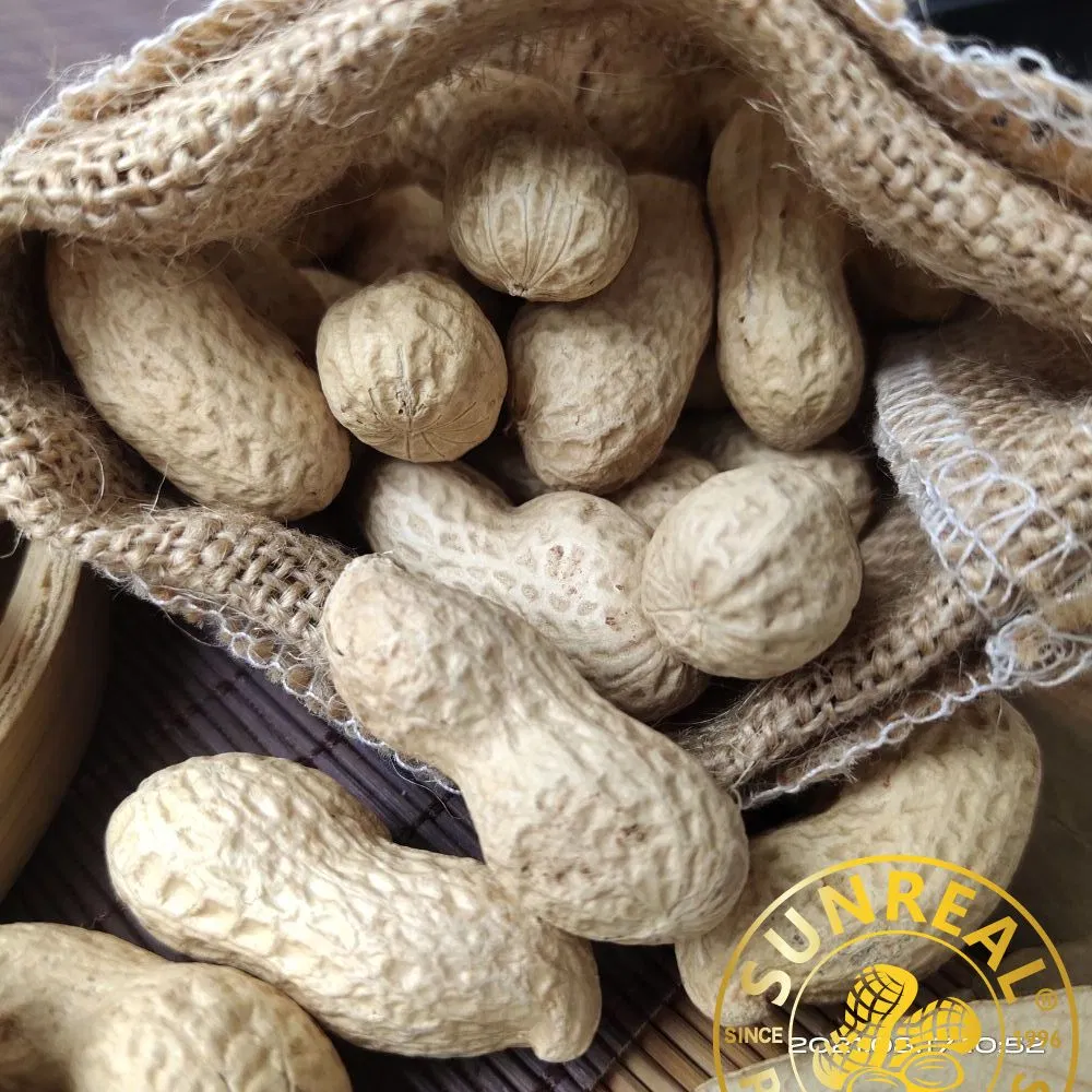Frozen Cooked Peanut in Shell/ Red Skin/Salty/Fresh&Soft&Juicy/Selected Materials