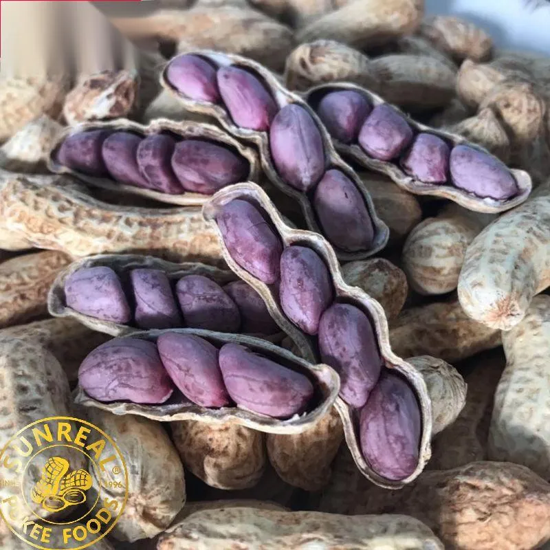 Frozen Cooked Peanut in Shell/ Red Skin/Salty/Fresh&Soft&Juicy/Selected Materials