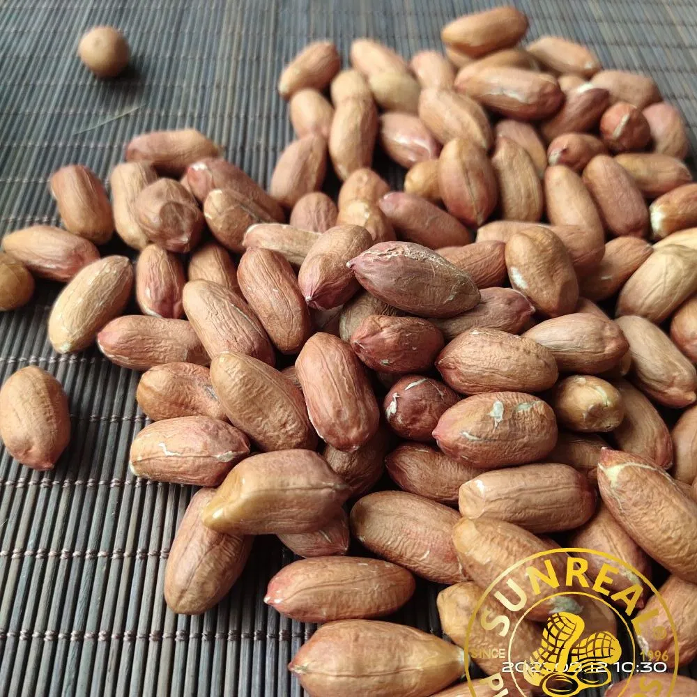 Frozen Cooked Peanut in Shell/ Red Skin/Salty/Fresh&Soft&Juicy/Selected Materials