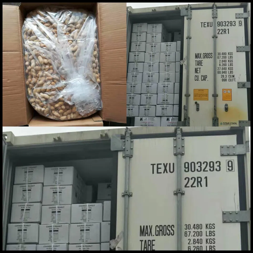 Frozen Cooked Peanut in Shell/ Red Skin/Salty/Fresh&Soft&Juicy/Selected Materials