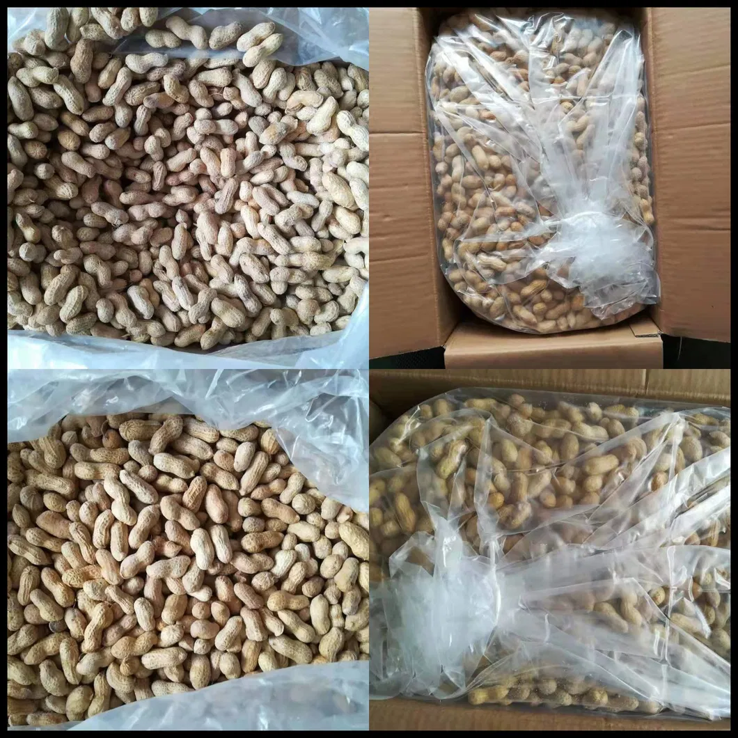 Frozen Cooked Peanut in Shell/Virginia/Selected Materials/Sharp Aroma/Good Taste