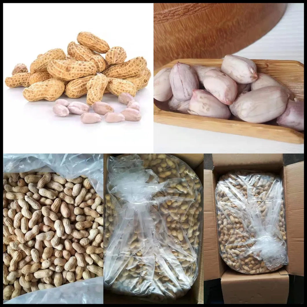 Frozen Cooked Peanut in Shell/Virginia/Selected Materials/Sharp Aroma/Good Taste