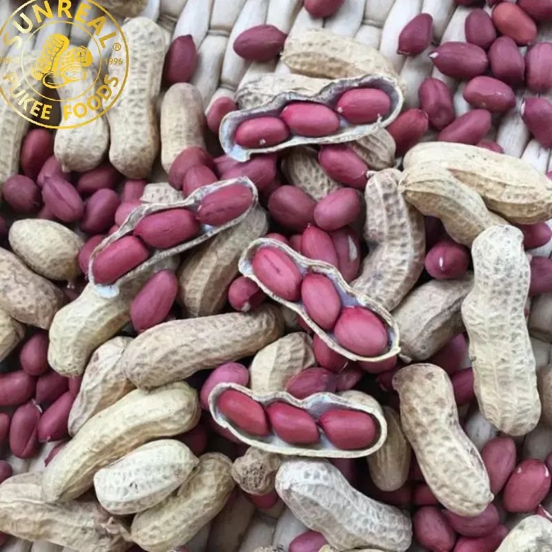 Frozen Cooked Peanut in Shell/Virginia/Selected Materials/Sharp Aroma/Good Taste